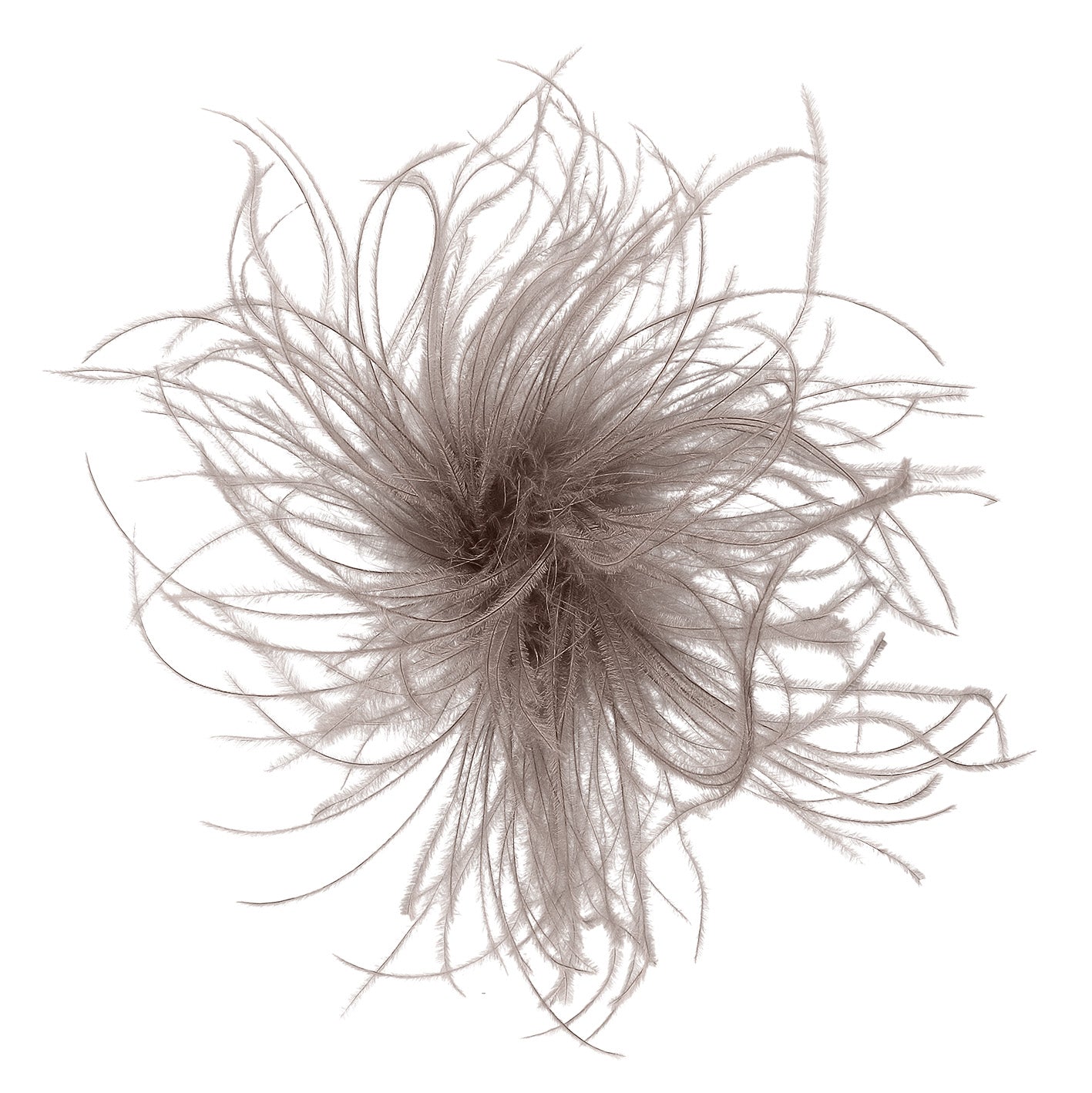 COPIA BROSCHE ANTHRAZIT GRAU