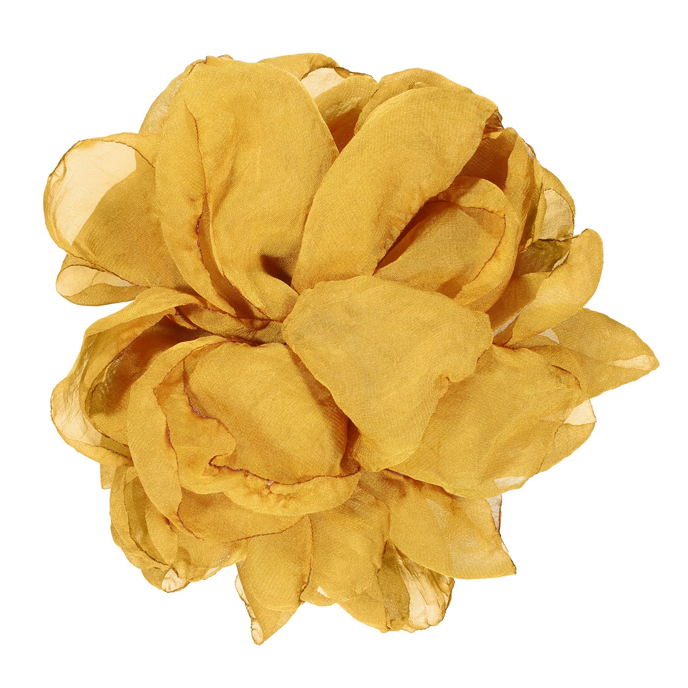 NADINE BROSCHE CURRY