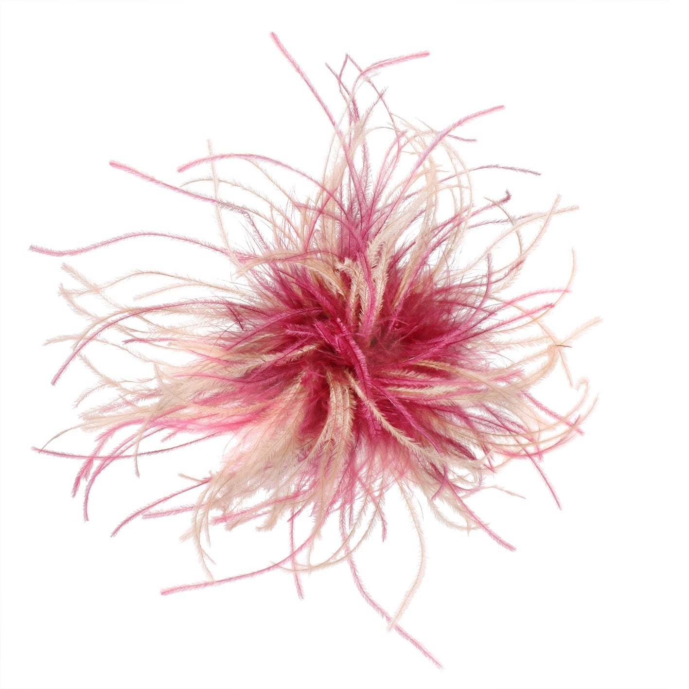 COPIA BROSCHE BORDEAUX BLUSH BICOLOUR